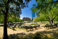 Dallas city tour highlights (1)