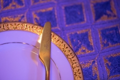 Ultimate-Ventures-Modern-Meets-Classic-Awards-Ceremony-Hilton-Anatole-Dallas-TX-1