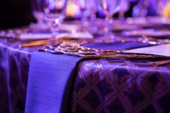 Ultimate-Ventures-Modern-Meets-Classic-Awards-Ceremony-Hilton-Anatole-Dallas-TX-9