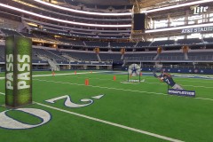 punt-pass