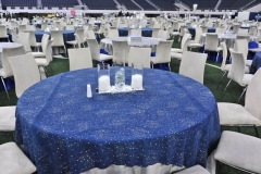 AT&T Stadium Special Events by Ultimate Ventures (4)