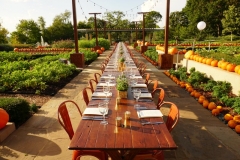 Dallas-DMC-Ultimate-Ventures-Autumn-Dinner-Event-Arboretum-3