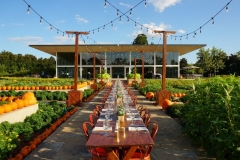 Dallas-DMC-Ultimate-Ventures-Autumn-Dinner-Event-Arboretum-4