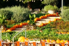 Ultimate-Ventures-Dallas-Arboretum-corporate-event-6