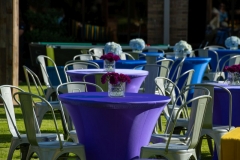 Ultimate-Ventures-Color-Block-Party-Welcome-Event-Hilton-Anatole-Lawn-Dallas-TX-5