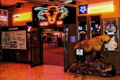 Billy Bob's Texas special event, ultimate ventures (3)