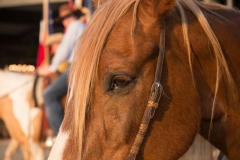 Cowboy up special event at Gilley's Texas by Ultimate Ventures (3)