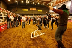 Billy Bob's Texas Team building (3)