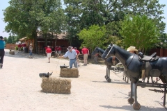 Ranch team-building games (8)