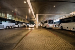Motorcoaches Staged at Kay Bailey Hutchison Convention Center Dallas for Airport Departures