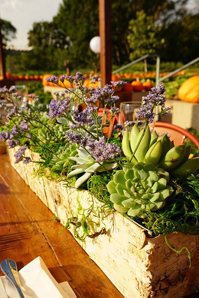 Dallas Fall Events 2025